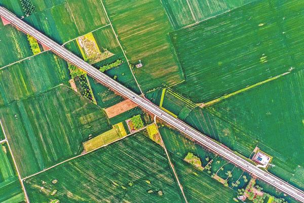Visit_Henan's tweet image. High-speed train in wheat field
Photo taken on May 2 shows a high-speed train passing through a wheat field in Huaiyang district of Zhoukou city, Central China's #Henan province. #SpringinHenan #HenanWhereChinaBegan