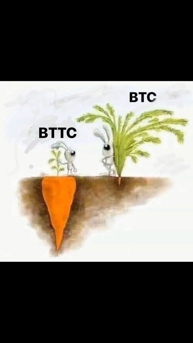 Crypto Expert tweet media