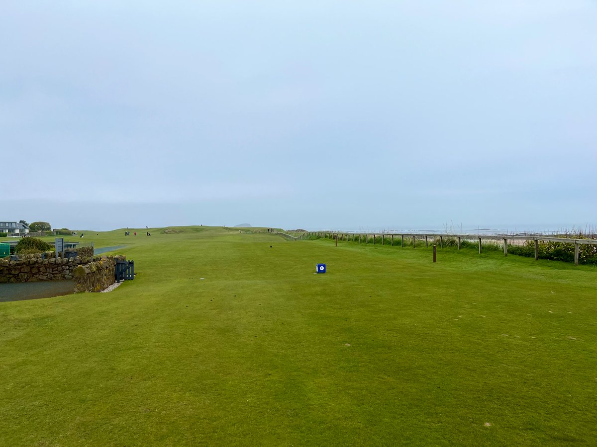 Jon Sherman tweet media