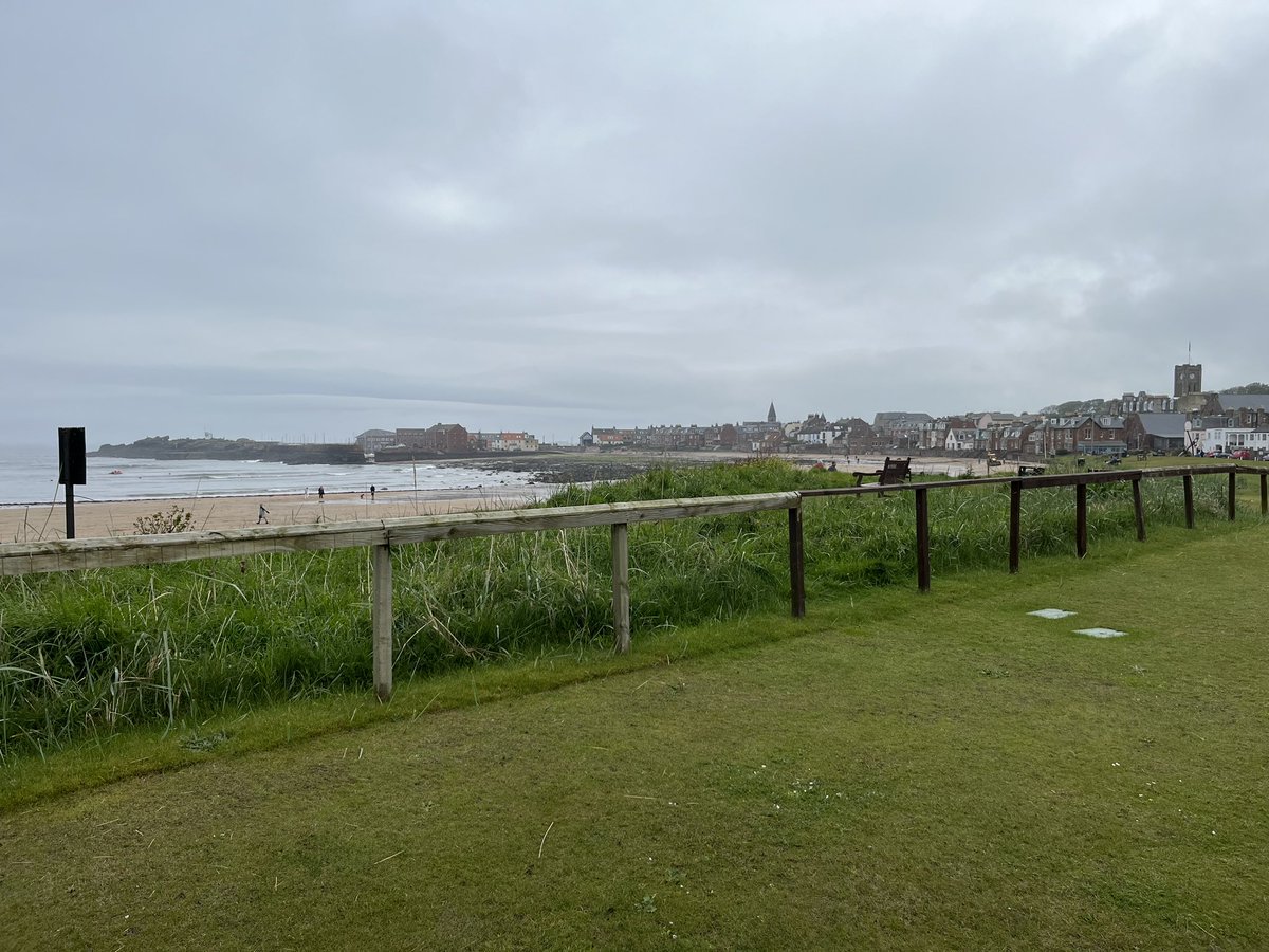 Jon Sherman tweet media