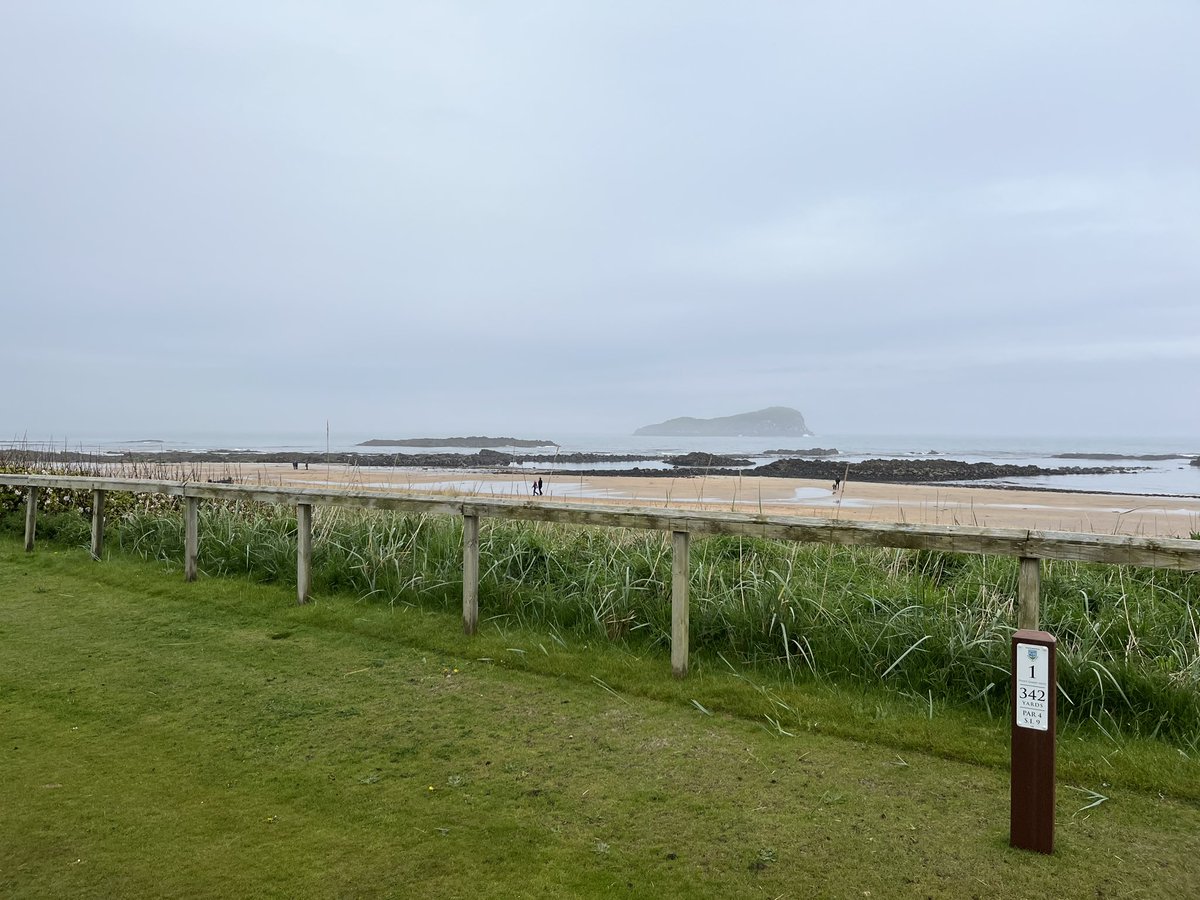 Jon Sherman tweet media