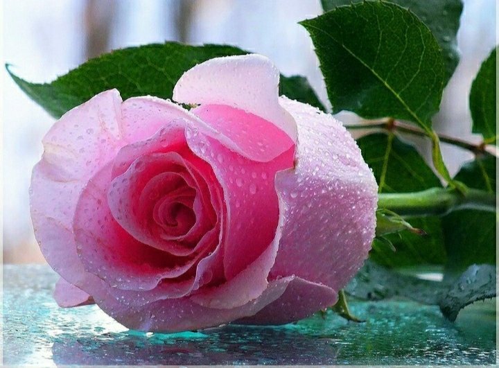 Maravillouse's tweet photo. 💌
Por su generosidad desinteresada y su paciencia infinita...

Feliz día a todas las madres 💕 https://t.co/0hInNf8UVO