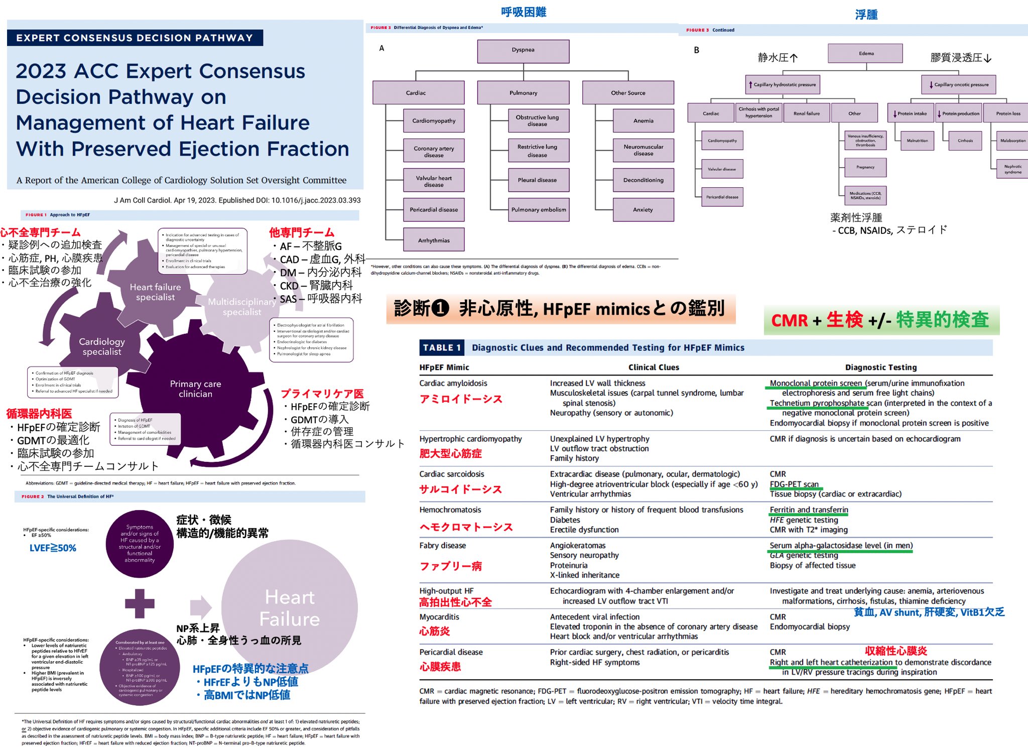 Resident the Basic of Cardiology 第2版 Resident the Basic of Cardiology 第2版 健康・医学