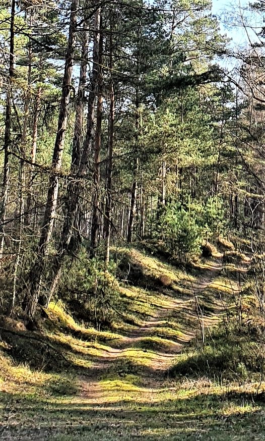 Green is a mission tweet media