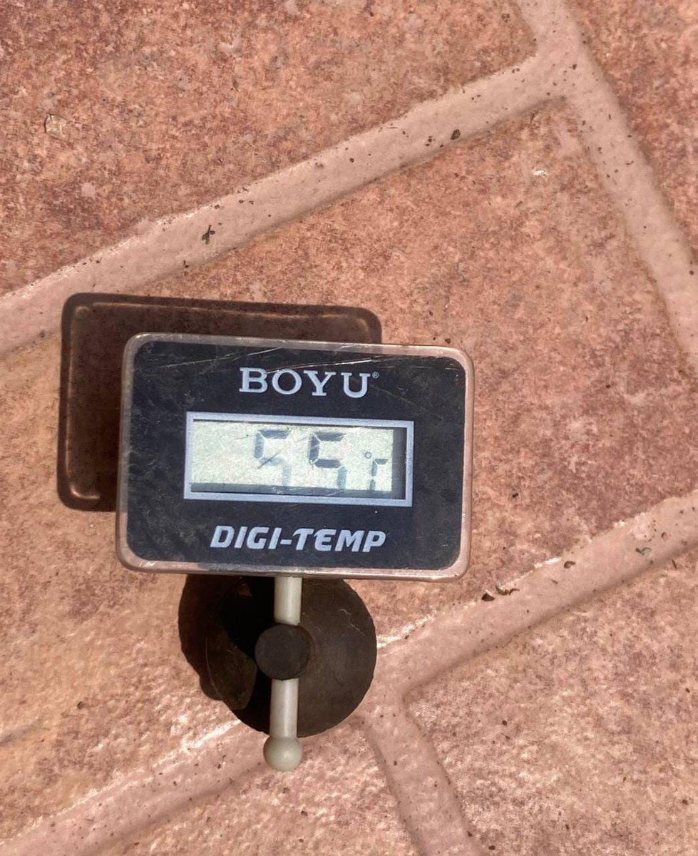 FireWomanJo1's tweet image. It's getting hot in here-PLEASE let's get planting some #TreesofLove 💚🌿

justgiving.com/fundraising/tr…. PM me with your tag info 🙏

facebook.com/groups/5524784…

#plantingtreesincambodia #ecogift #combatclimatechange 🦋