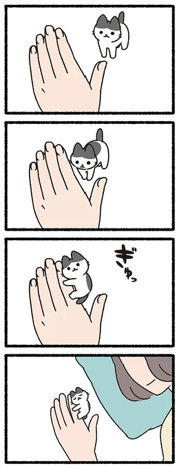 ねこようかい ころぽっくる #ねこもんすたー #ねこようかい