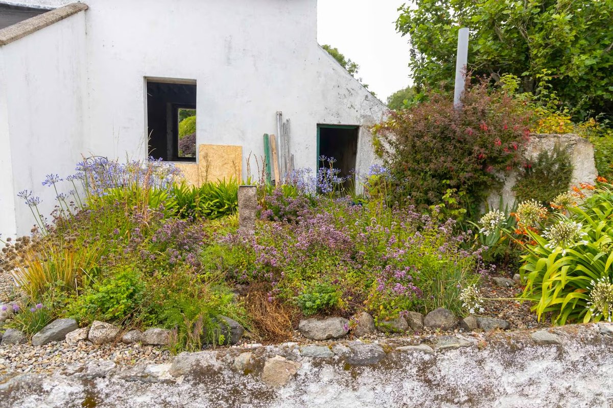 carrollste's tweet photo. Money troubles and getting ahead of yourself are focus of the latest round of my @IrishTimes column on renovating a very old house. https://t.co/ckHDO2TyJX https://t.co/rFJiR9XnsS