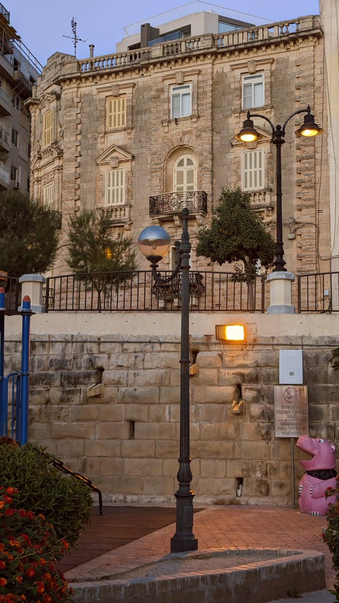 Shot on #pixel7pro #Google #Googlepixel