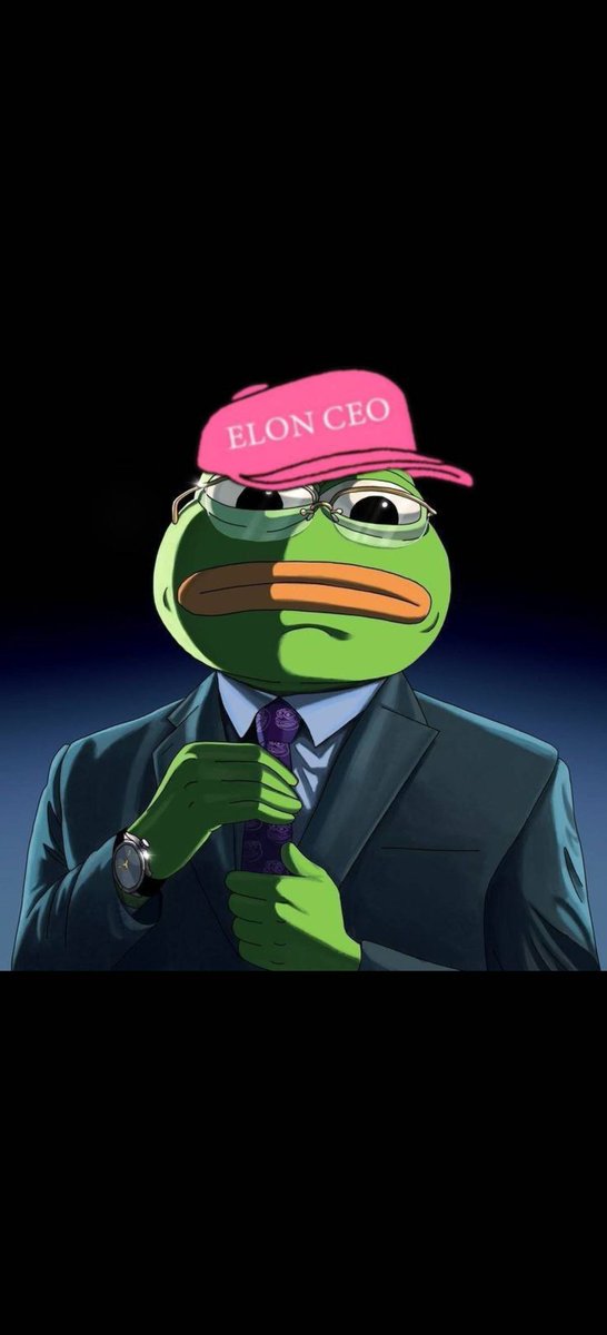 YangZhang520's tweet photo. @kucoincom POV🐸🔥🐸 https://t.co/oydZBKBLm7