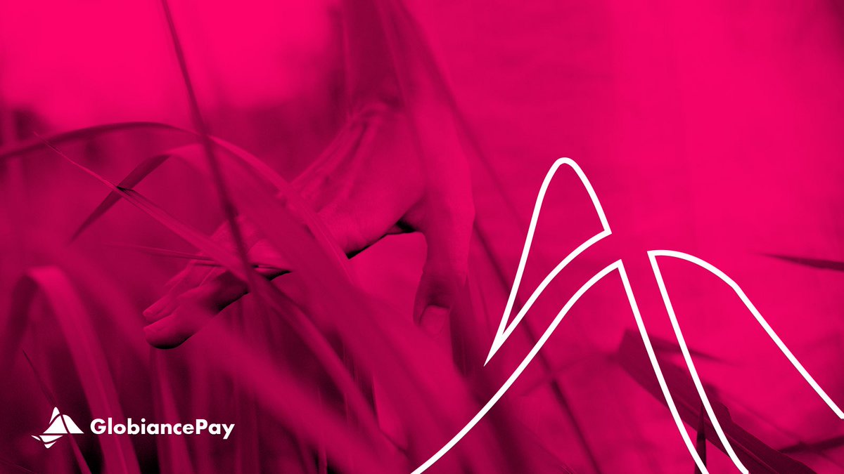 Globiance_Pay's tweet photo. With our commitment to financial inclusion, we're not just building a better banking system, we're building a better world.

Join us and help make a difference.

#BankingTheFuture https://t.co/ykV6tdEiki