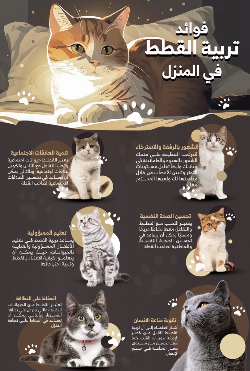 PETANDCO's tweet photo. https://t.co/m3XJWHHnkb