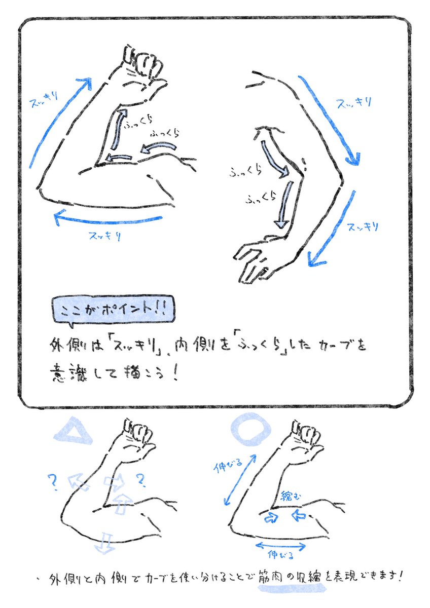 腕を描く時に注意しているポイントです。