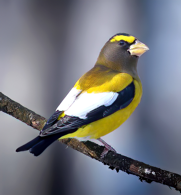 Photographer (@photo5065) on Twitter photo 