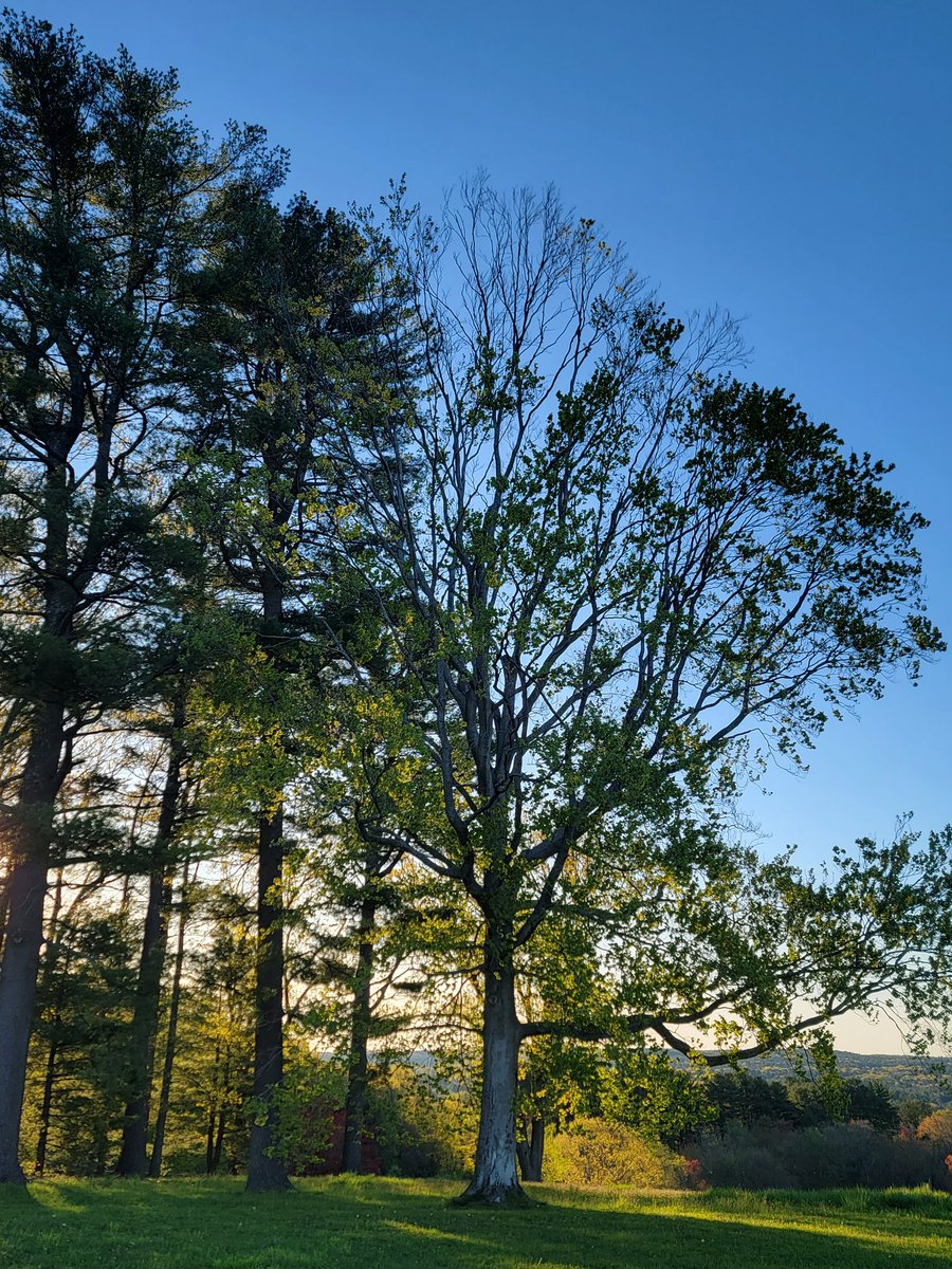 Dave Epstein tweet media