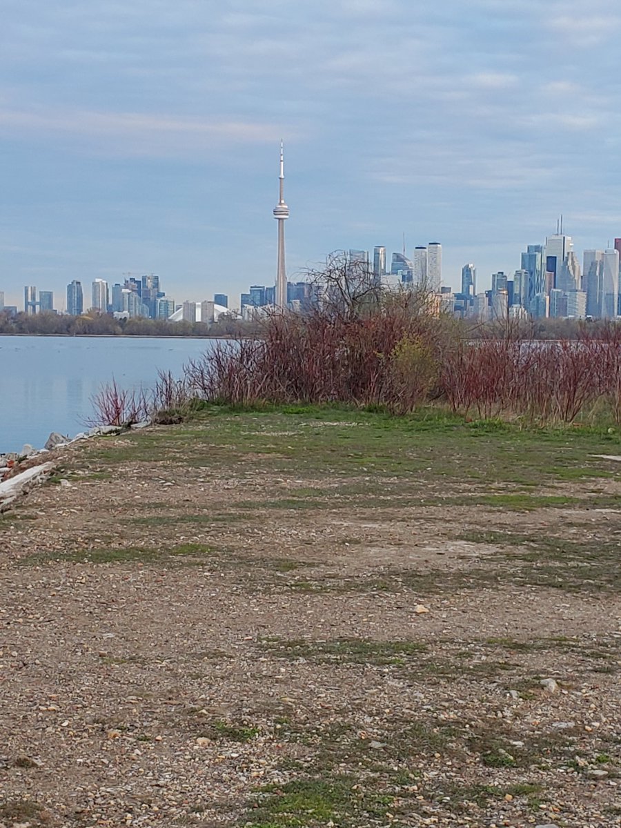 First bike ride to the end of the Leslie Street Spit for the season.  The city is waking up