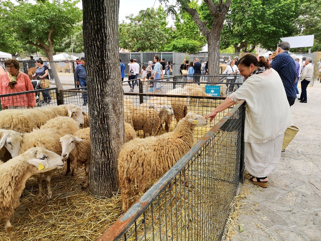 Conselleria d'Agricultura, Pesca i Medi Natural tweet media