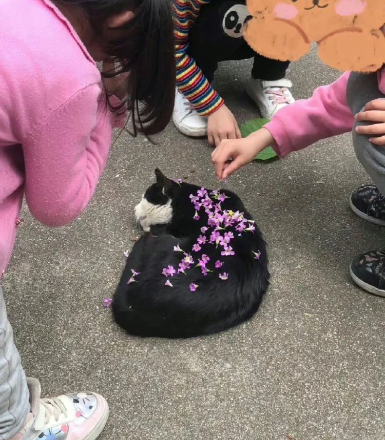 piinkibun's tweet photo. https://t.co/bycMAX4lR6
