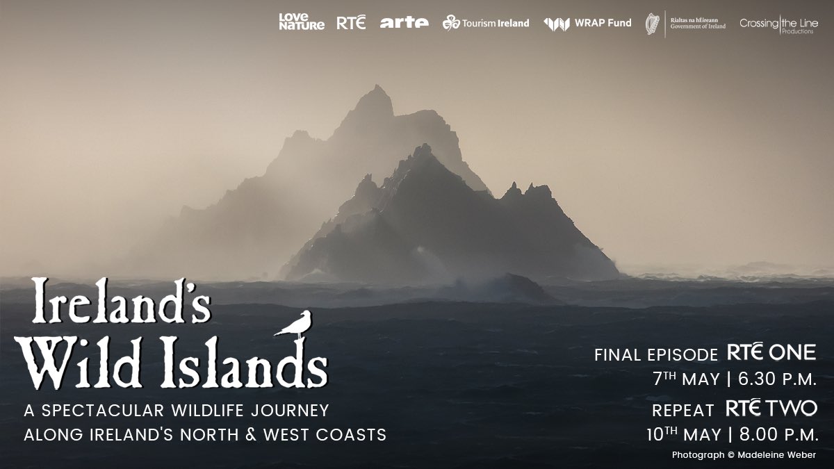 Domenico Pontillo (@dompontillo) on Twitter photo We’re showing off the wildlife around the stunning islands of Kerry and Cork in tonight’s final episode of #irelandswildislands on <a href="/RTEOne/">RTÉ One</a> at 6.30pm. 
Join us on the last leg of an epic Atlantic Journey. We’re showing off the wildlife around the stunning islands of Kerry and Cork in tonight’s final episode of #irelandswildislands on <a href="/RTEOne/">RTÉ One</a> at 6.30pm. 
Join us on the last leg of an epic Atlantic Journey.