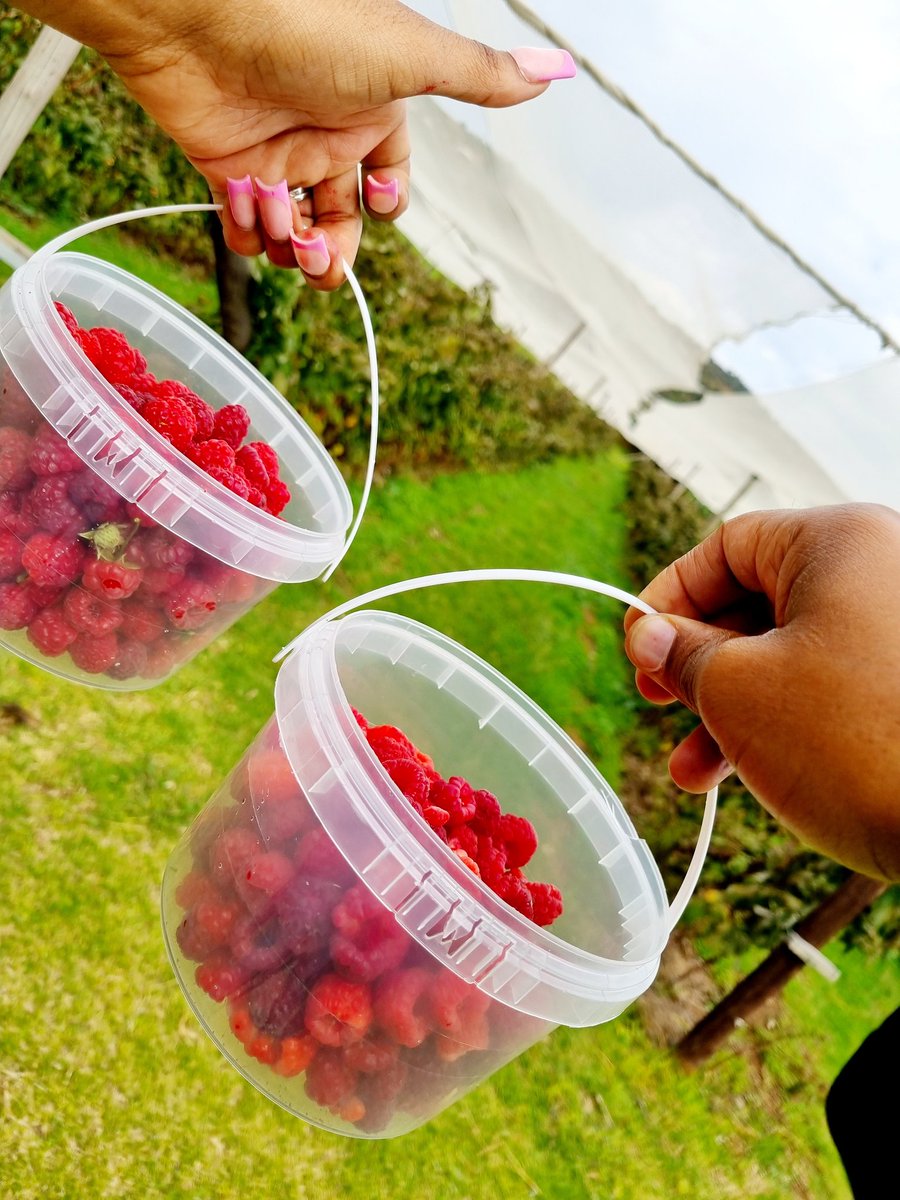 lezothi😀 on Twitter "Found a cute spot jhb south,and it's R50 to pick