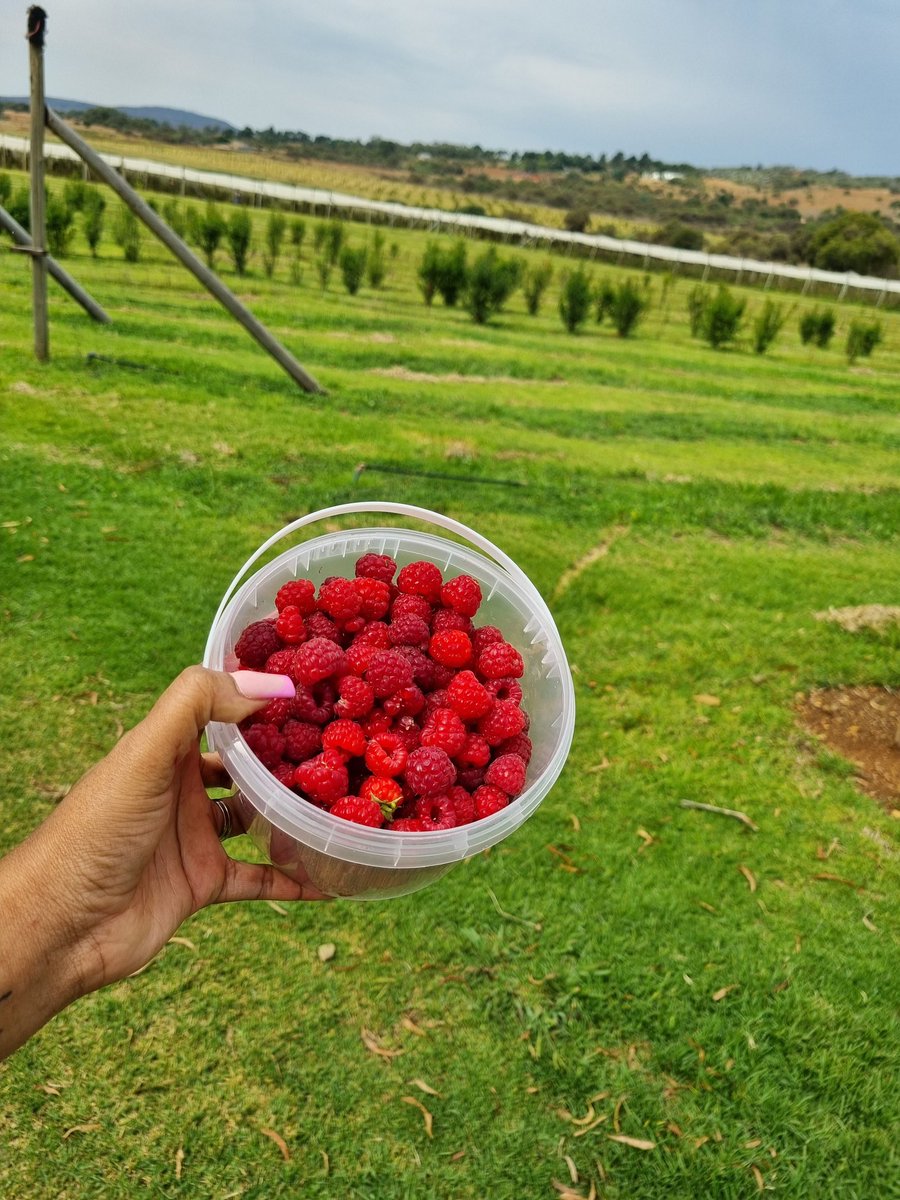 lezothi😀 on Twitter "Found a cute spot jhb south,and it's R50 to pick