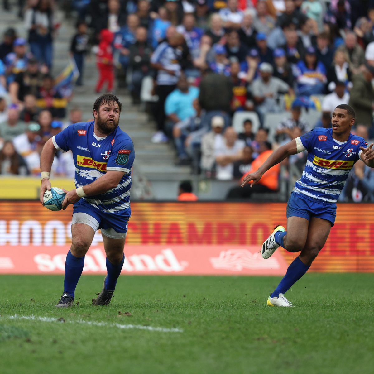 Stormers Rugby News, Scores, Highlights, Injuries, Stats, Standings, and Rumors Bleacher Report