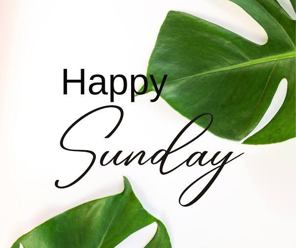 YourDrAmreen's tweet photo. 1/ 🌟 Hello, Twitter family! 👩‍⚕️ Dr. Amreen here from @CaspianHealth, your friendly neighborhood consultant paediatrician! 🏥

🌈 Sundays are for... ✨

[THREAD 🧵]

#SundayVibes #Paediatrician #CaspianHealthcare #FamilyTime #SelfCare #DrAmreen #YourDrAmreen #Hyderabad https://t.co/49SXSd5qOt