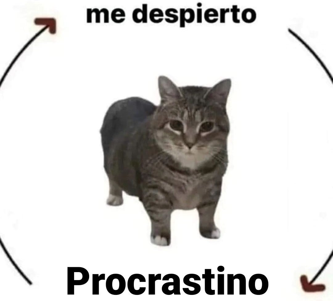 piña sin pizza tweet media