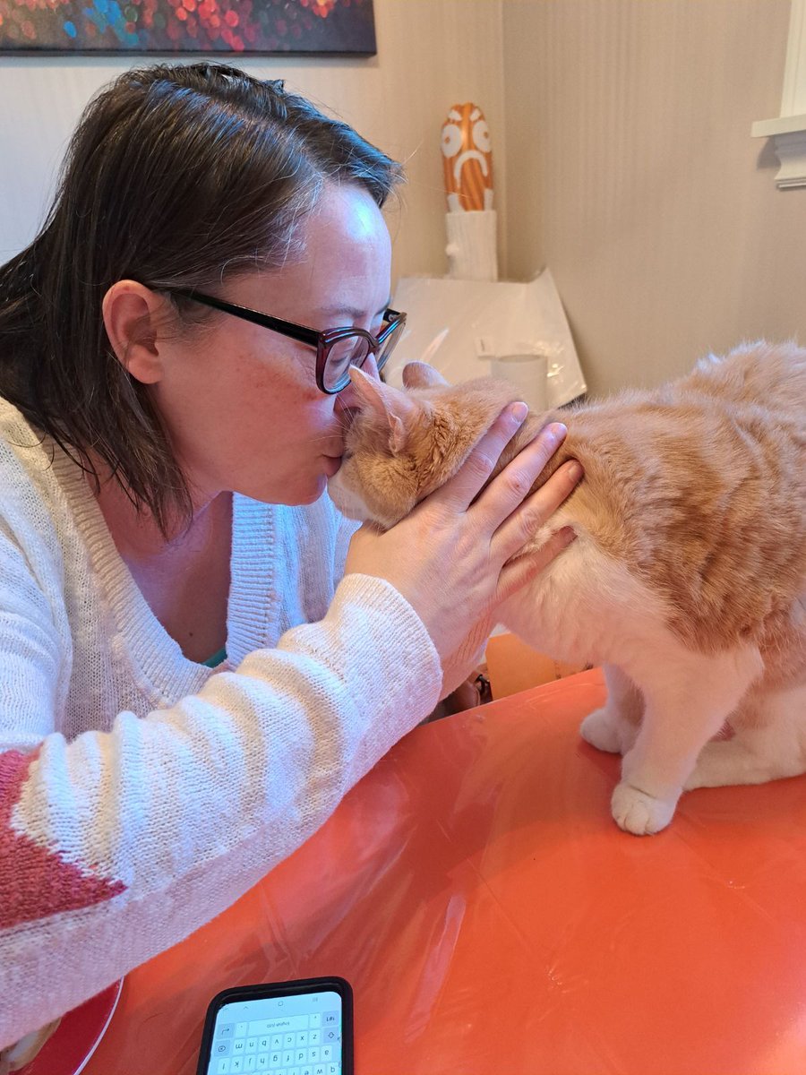 Sunday morning smoochies! (I swear, he really likes it!) 😀

#cats #gingercats #sunday #ilovemycat