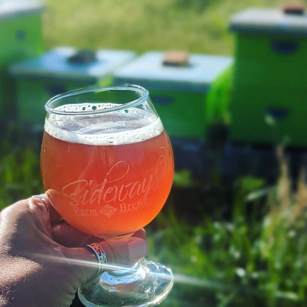SidewaysFarm's tweet photo. While you're here trying the Belgian Dubbel today, don't miss our Belgian Blackberry!
💙💙💙
Brew Number 60.2 - Blackberry Farmhouse Ale is a slightly tart and funky farmhouse ale aged on two hundred pounds of blackberries grown right here on the farm! … https://t.co/jFvZrV0b9o https://t.co/qzfaVO25dt