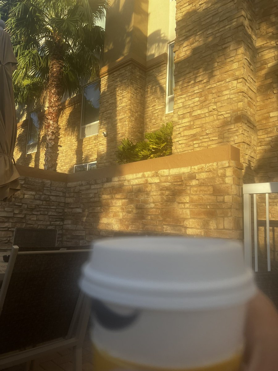 SomethingElse9's tweet image. Coffee and palm trees! Happy Sunday!