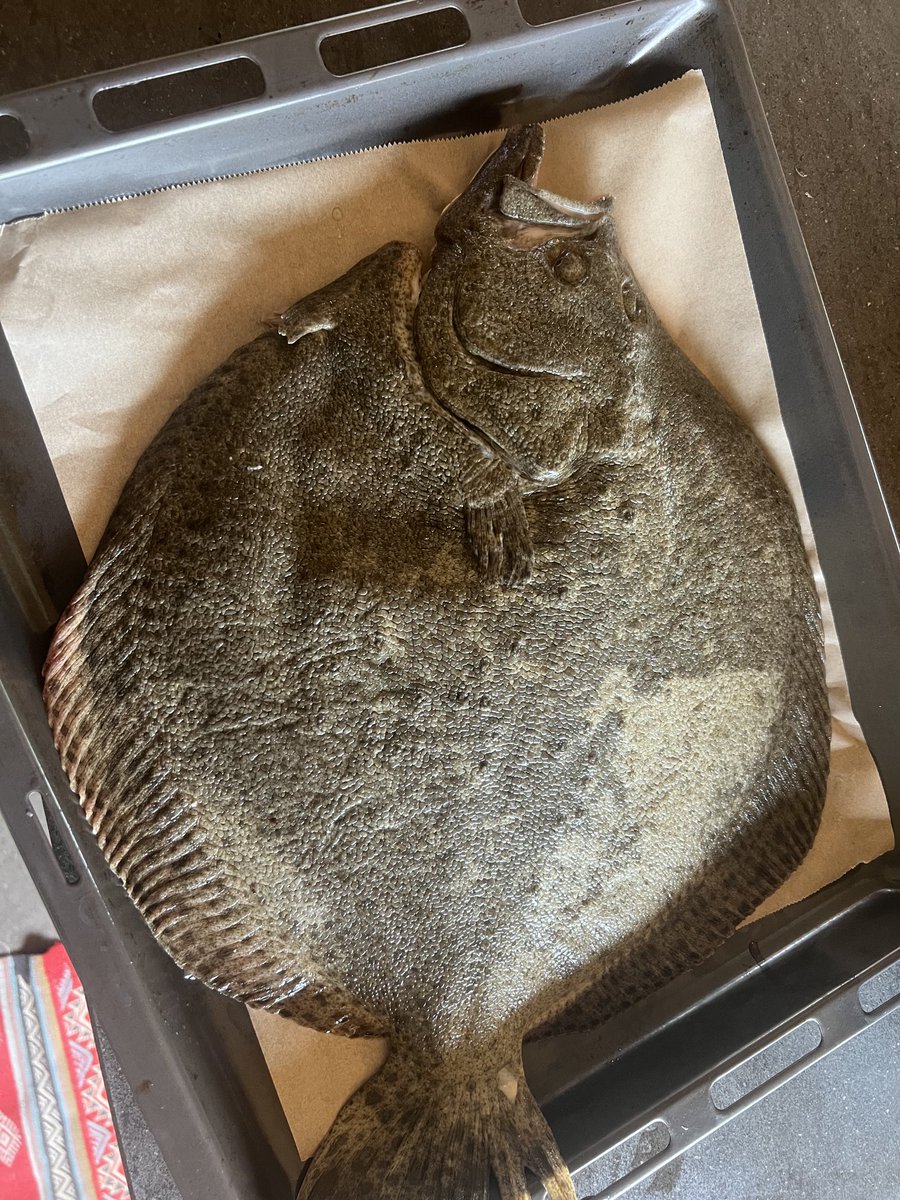 TimeToSignOff (TTSO) tweet media