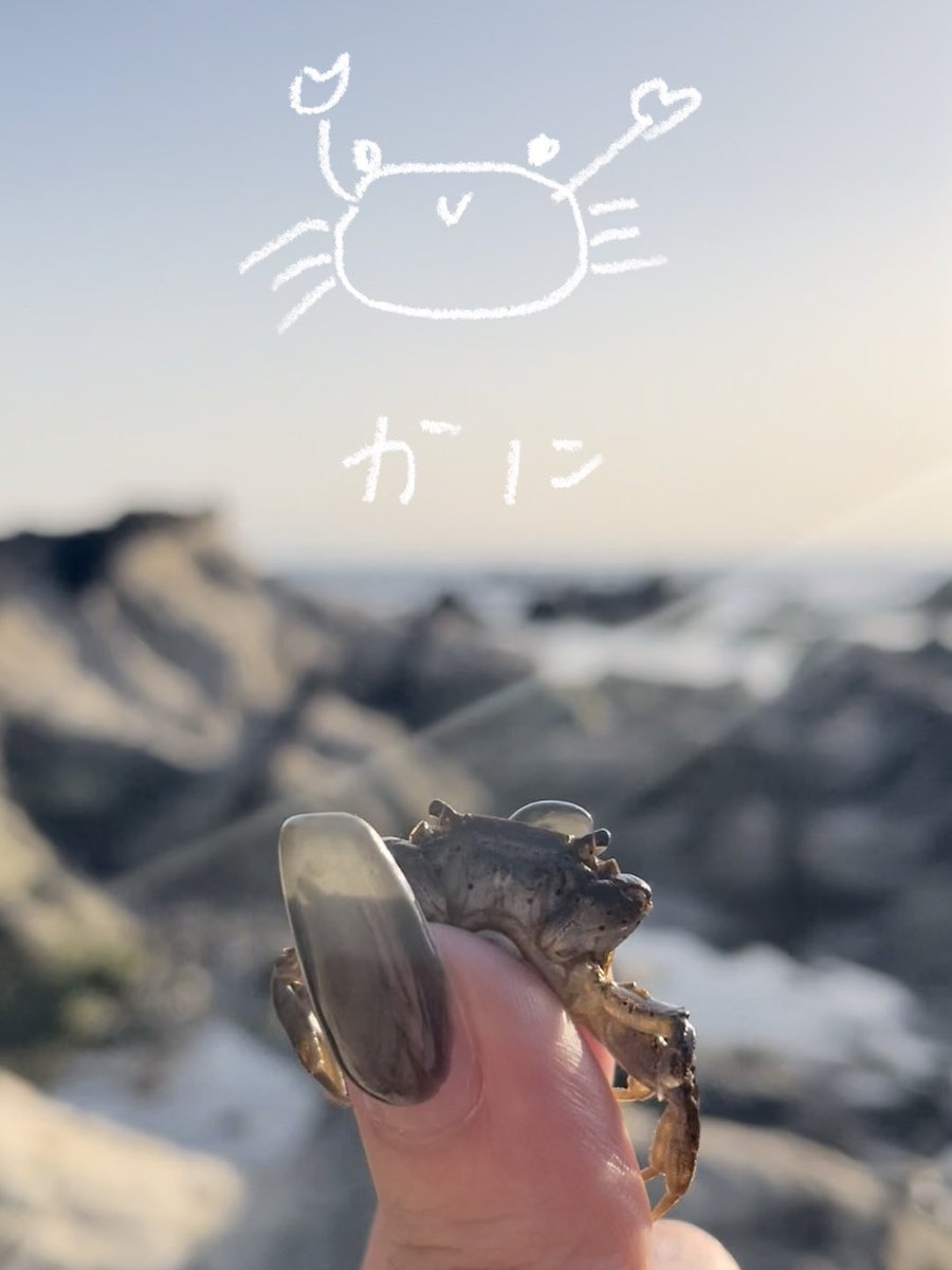 __mtzw__'s tweet photo. GWで海と山と川と湖と花畑とくるりと奥田民生を見た 海も山も川も湖も花畑もくるりも奥田民生もだいすきだ https://t.co/yW3DXq36F6
