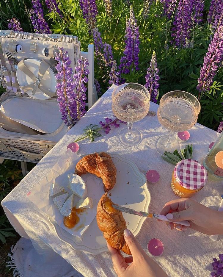 picnics in lavender fields 🧺🌿🌸
