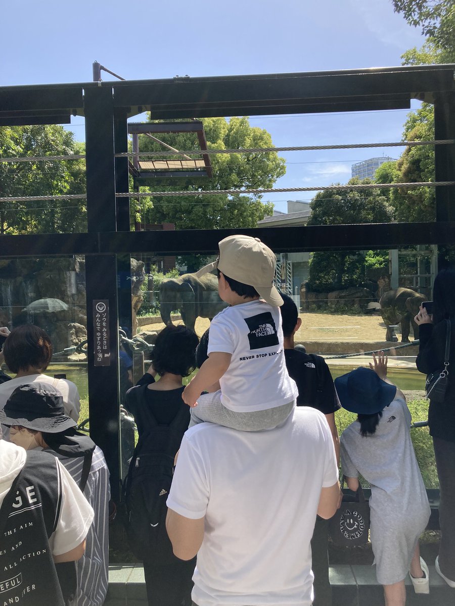 to_mo144's tweet photo. 5月5日子供の日👦

上野動物園へ！🐼と🦍は見れず…。
空いてる日にリベンジ！

立派な鯉のぼりと兜！
兜は親から子へ！ https://t.co/i9j8Vx3TeF