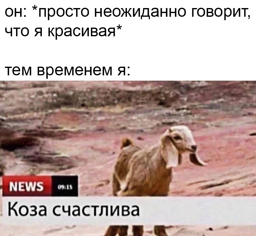 ужасные мемы (@liltonder) on Twitter photo 