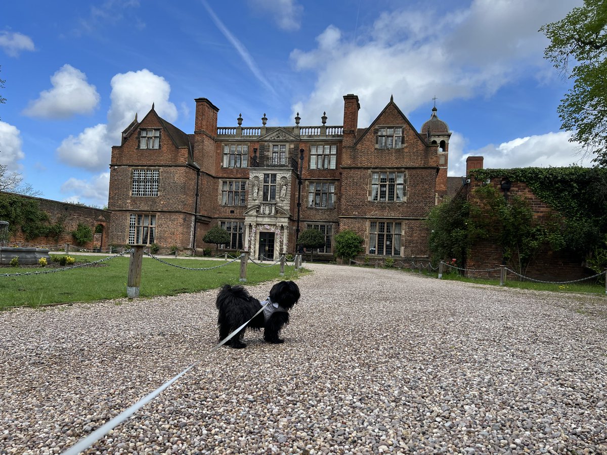 Castlebromhall's tweet photo. The real boss of our family hotel Bella! Inspecting our grounds and helping keep our gardens well pruned! #CastleBromwichHallHotel @beoneceo https://t.co/PYDwCT5k34