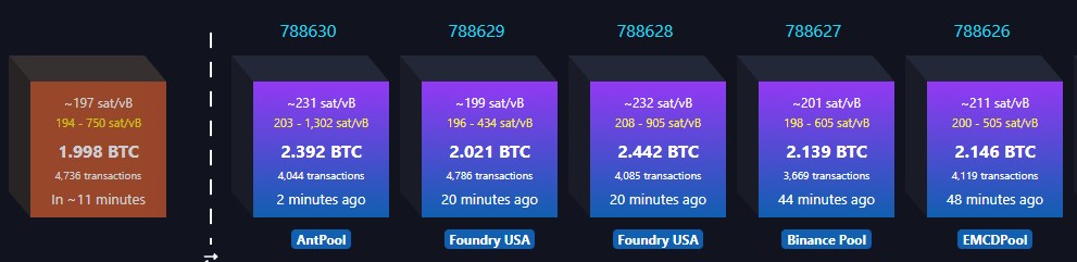 bitcoinbumbleB's tweet photo. More than 2 BTC worth of transaction fees were included in the last blocks.

#Bitcoin #SubsidyVsFees https://t.co/VImsYoWexL