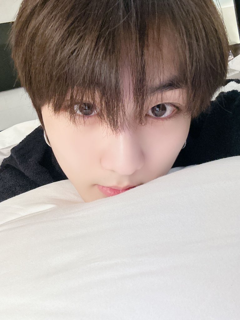 ENHYPEN WEVERSE tweet media