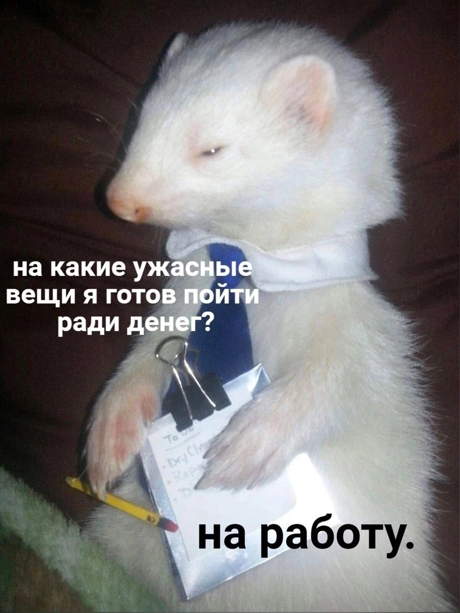 ужасные мемы (@liltonder) on Twitter photo 