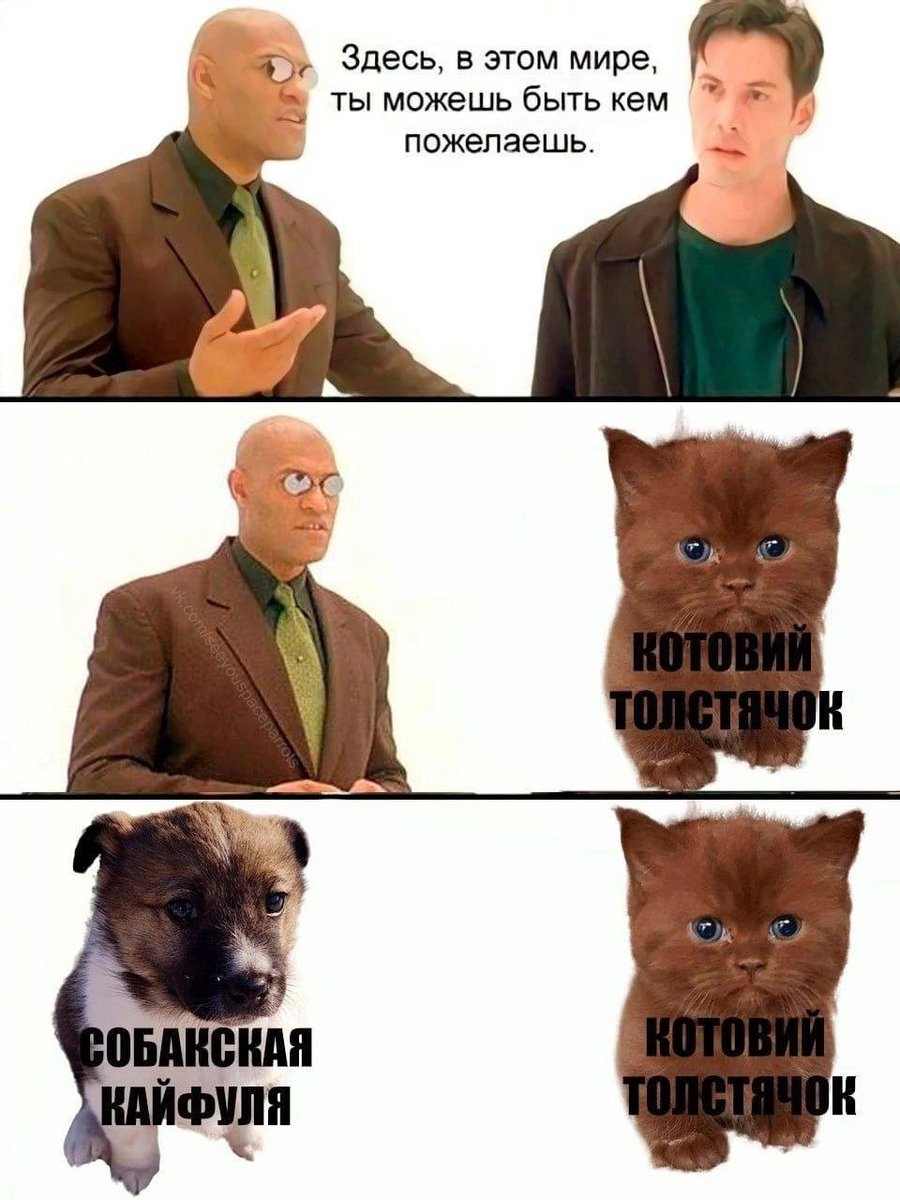 ужасные мемы (@liltonder) on Twitter photo 