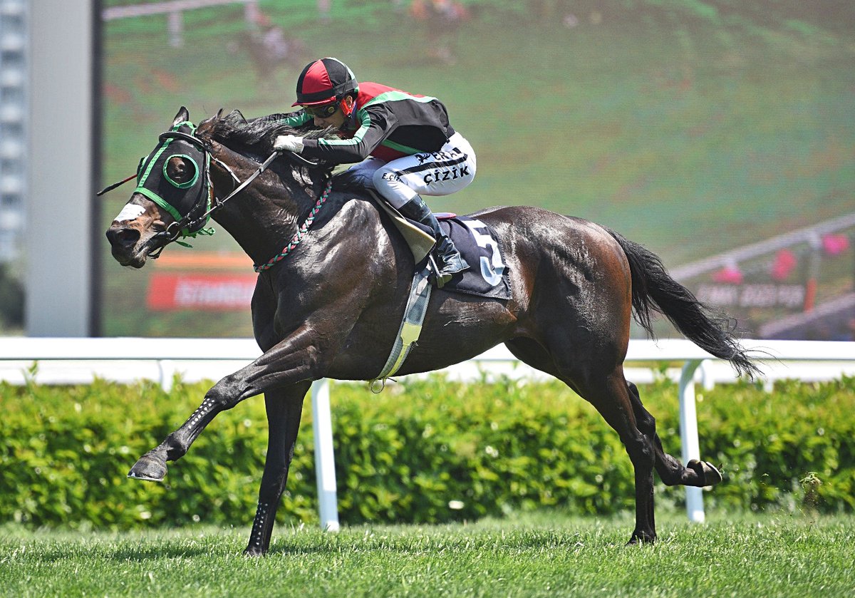 Dr. Ergon Mengi Koşusu'nu Timelord kazandı

tjk.org/TR/YarisSever/…