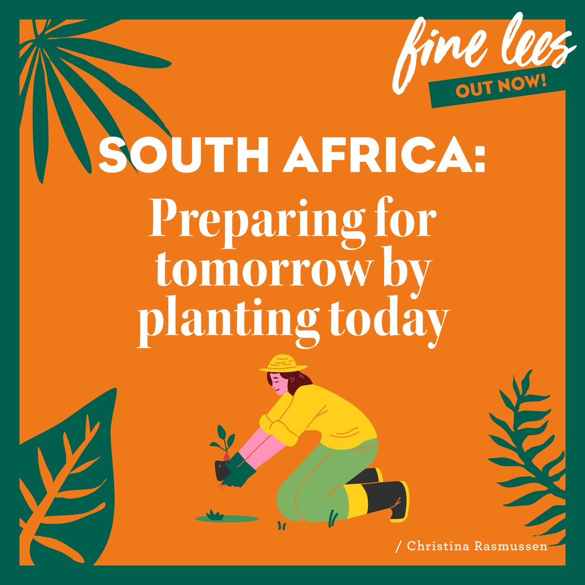 From 'in vitro cleaning' to clonal and massal selection, ZA producers are preparing for future challenges by planting the best possible vine material. @christina_SVR breaks it all down for us in the latest issue of Fine Lees: cloud.3dissue.net/28174/28154/35…
