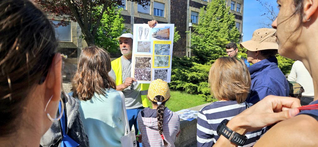 Museodelafalla's tweet photo. El #Museodelafalla vuelve a participar un año más en la celebración del @GeolodiaES. Un acontecimiento de escala nacional que divulga la #geología en todas sus dimensiones y a toda la sociedad. Enhorabuena al #Dpto. De #geología de la #Usal y a todos los participantes. https://t.co/GAHGyYr9Hs