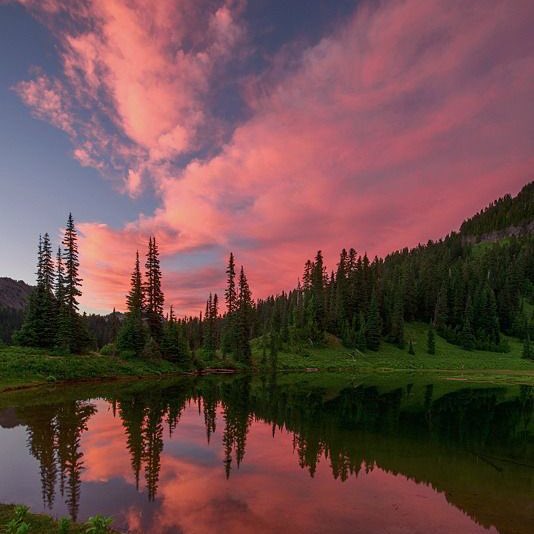 pink skies.