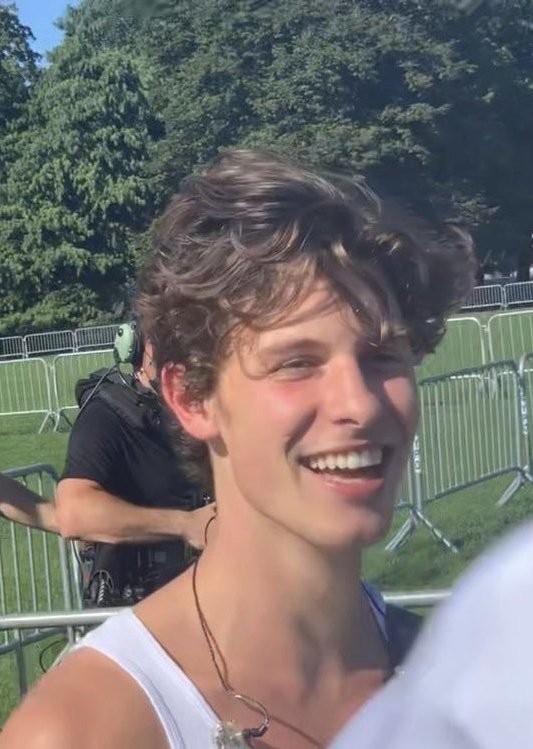 shawposts's tweet image. shawn mendes.