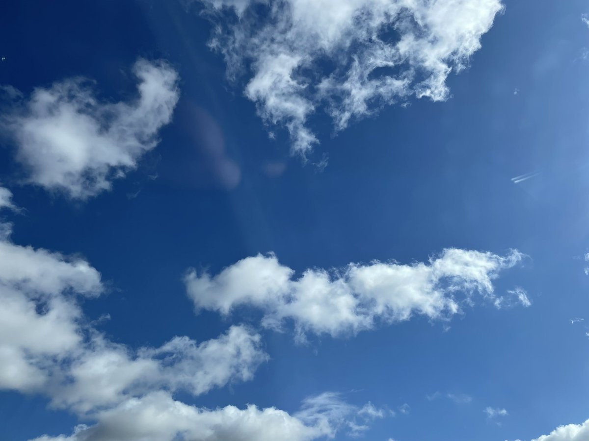 Foreveryoung tweet media