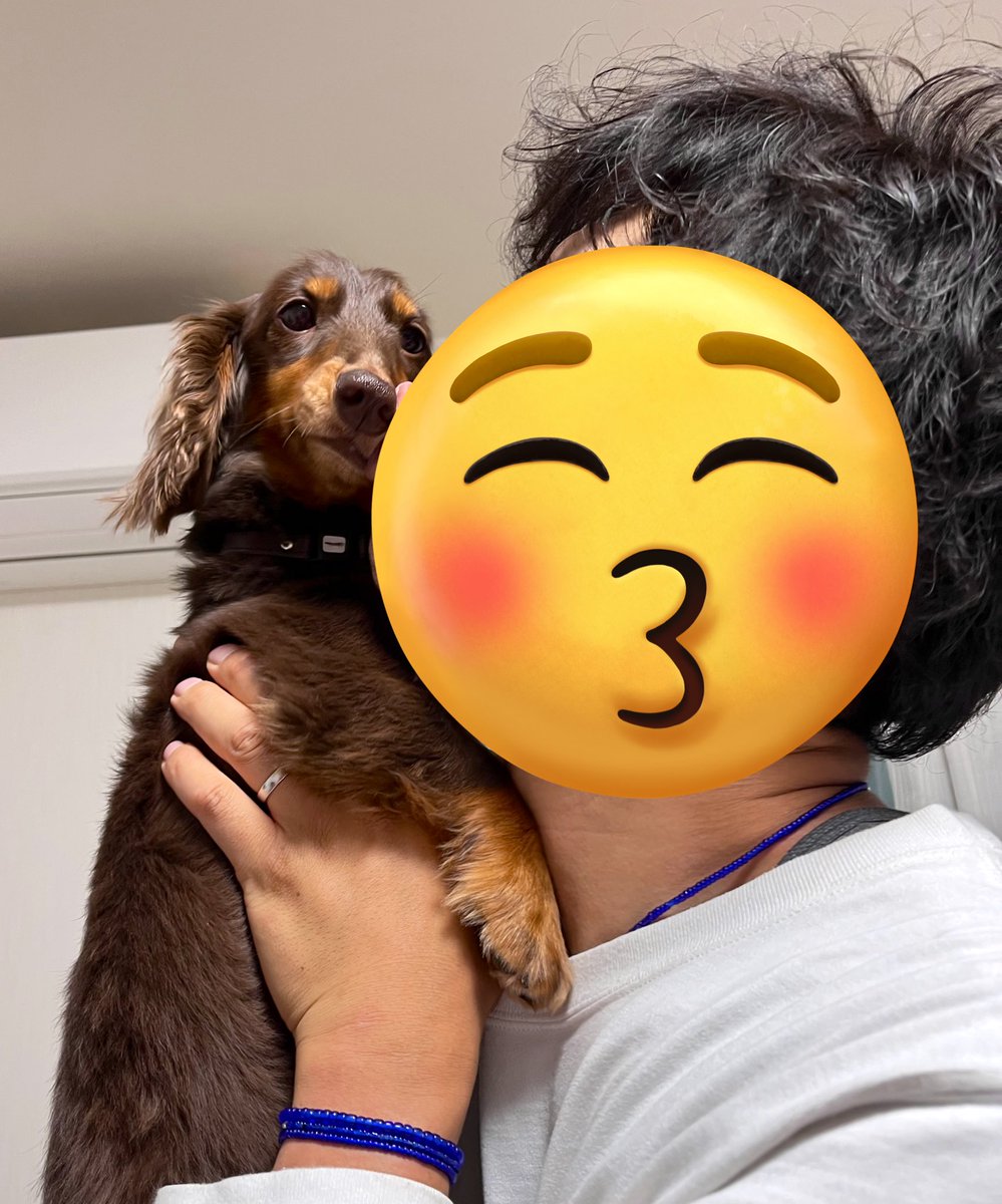 mugi27030710's tweet photo. 🎂✨
当日お祝い出来なかったからと、
👨🦱と🐶が改めて今日お祝いしてくれました🤣💓嬉しい🥰
そしてご近所さんからのりんごジュース🍎✨そうなんです、好きなんです☺️💕さすがです🐶❤️
皆様ありがとうございます♡
#cakelab
#HAPPYBIRTHDAY https://t.co/EIBhBKVxzQ
