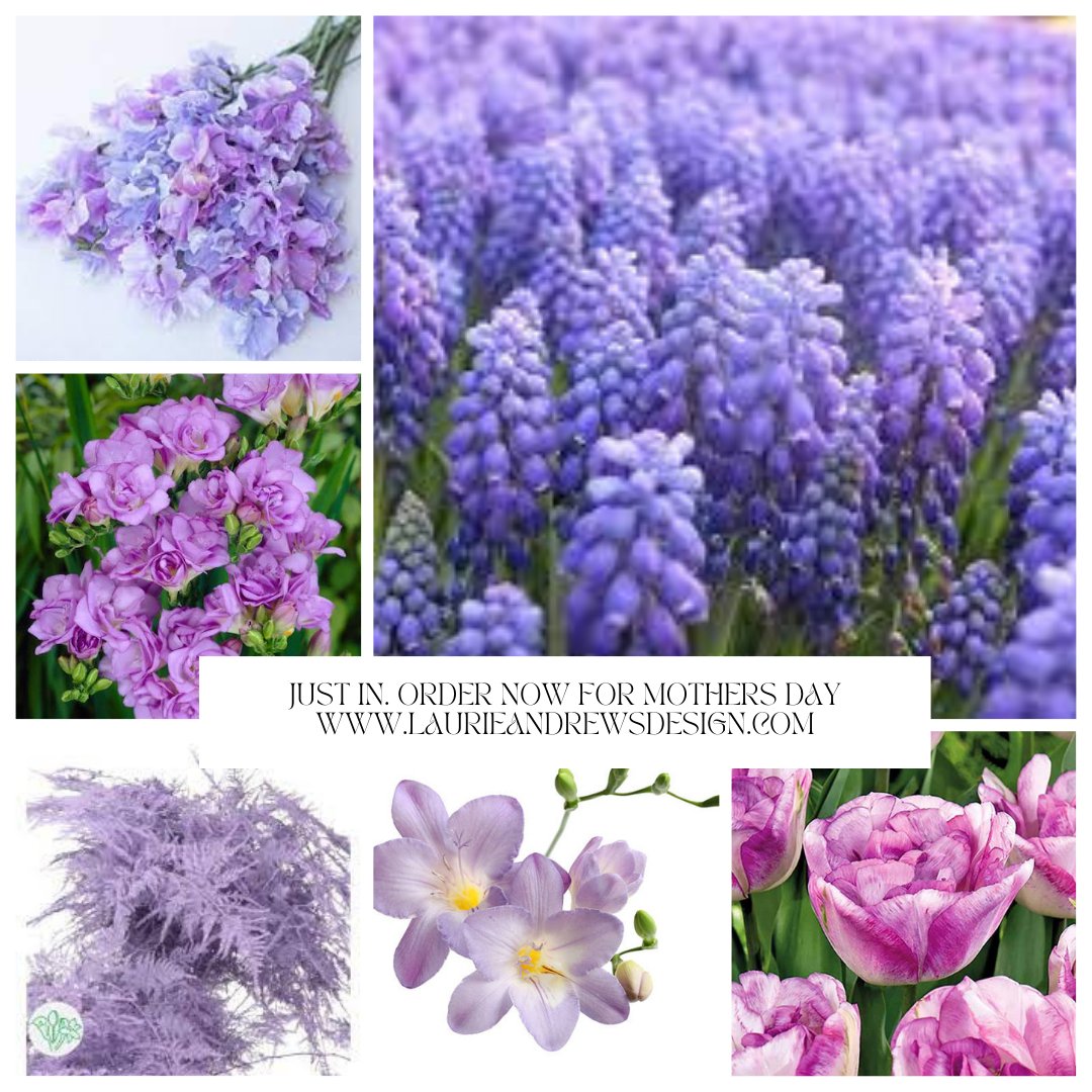 ladevents's tweet photo. DON'T FORGET TO ORDER FOR MOTHER'S DAY. DELIVERY IS AVAILABLE TO PORTLAND, SACO, SCARBOROUGH, OLD ORCHARD BEACH, AND BIDDEFORD AREA.
#MAINEFLORIST #MOTHERSDAY #MAINEWEDDINGFLORIST https://t.co/EOWkeZJS6m