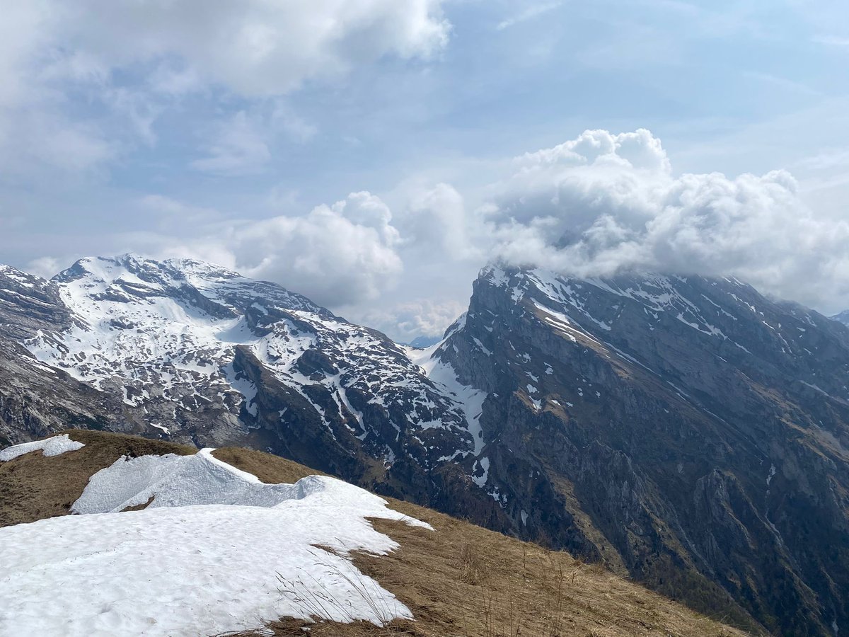 MorenoBaccichet's tweet photo. Bel giro ad anello dal #colmat al #rifugiodolada .
#alpago
#belluno https://t.co/E4rGQncud9
