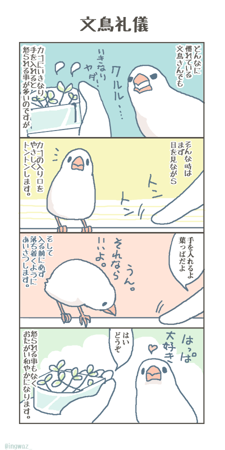 #ツイッターを鳥で埋め尽くす  とても感情豊かで、意思疎通ができるかわいい家族です(過去作より)